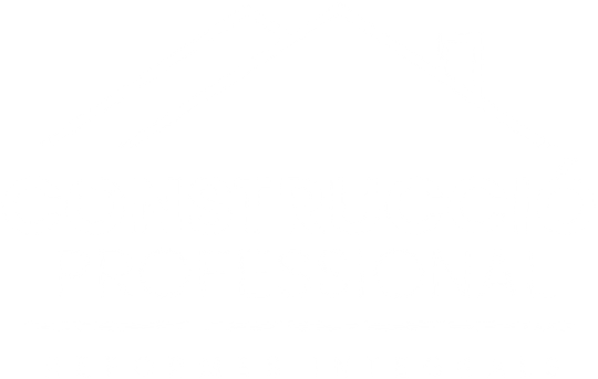 Construcció Professional