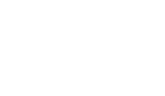 Top Level Auto